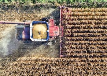 Agronegócio representou 23,5% do PIB da Bahia até o terceiro trimestre de 2024