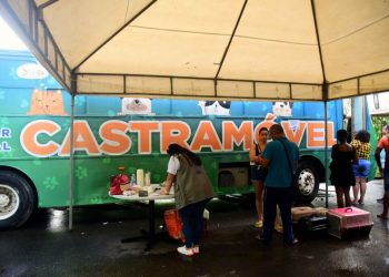 Castramóvel inicia atendimentos na Avenida Paralela