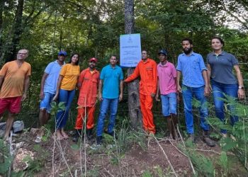 Projeto financiado pelo Prodeagro chega a 130 nascentes recuperadas no Oeste da Bahia