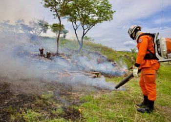 Reda com 46 vagas fortalece a gestão ambiental na Bahia