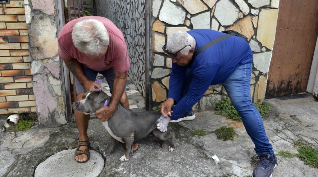 Vacinação antirrábica é realizada em locais de grande circulação em Salvador