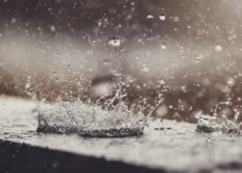 Água da chuva pode estar contaminada por agrotóxico, diz estudo