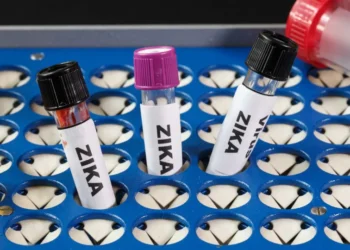 Vacinas em estudo contra o zika vírus esbarram em desafios na fase clínica