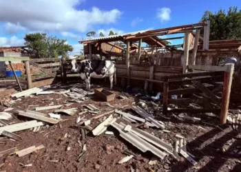 Tornado destrói pavilhão e danifica 285 casas no Rio Grande do Sul