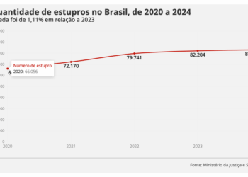 Brasil tem alta de feminicídio e estupro em 2024; roubo a banco, carga e de veículos caem, aponta governo