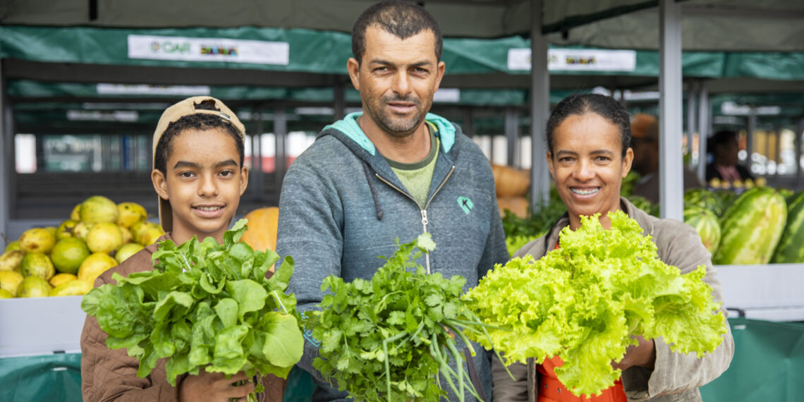 Governo da Bahia lança novo Plano Safra