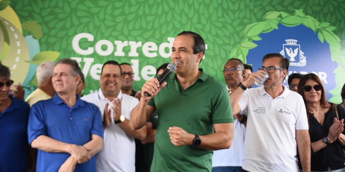 Prefeitura lança Corredor Verde com 115 árvores em Salvador