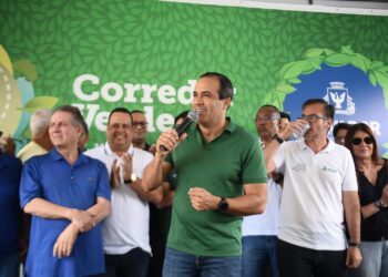 Prefeitura lança Corredor Verde com 115 árvores em Salvador