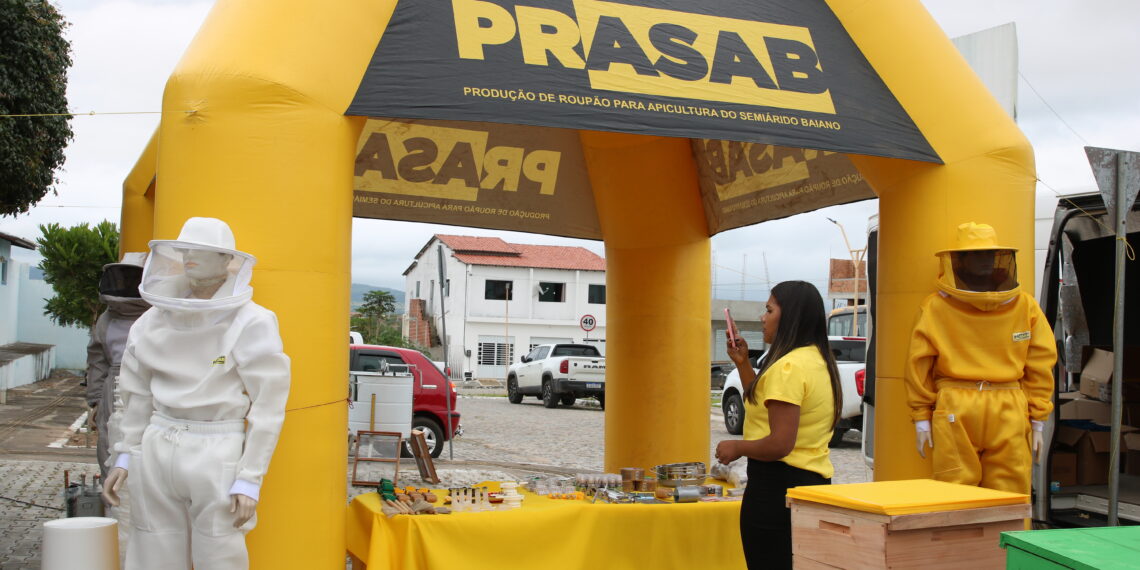 Estado lança sistema para monitorar perdas de abelhas
