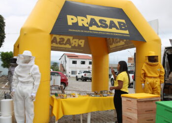 Estado lança sistema para monitorar perdas de abelhas