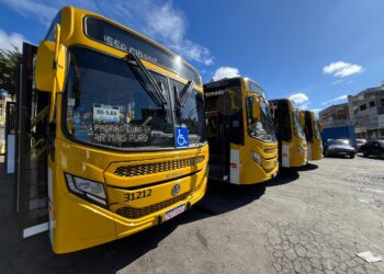 Ônibus: Salvador ganhará 13 novas linhas e reativará 5 em 2025