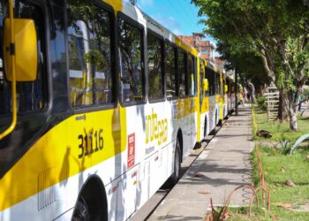 Salvador amplia viagens e reduz espera em 16 linhas de ônibus