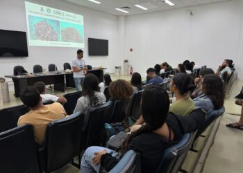 Corais de Maré integra Rede de Restauração com Bahia, PB e PE