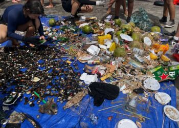 Ação de limpeza no Porto da Barra retira 180 kg de lixo do mar