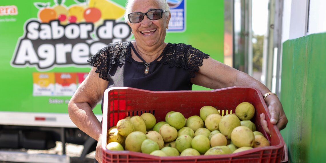 Nova unidade de frutas fortalece agricultura familiar em Inhambupe