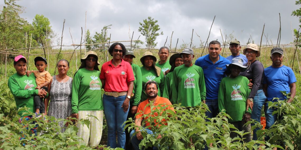 Viva Horta transforma alimentação e renda em Mucugê, na Bahia