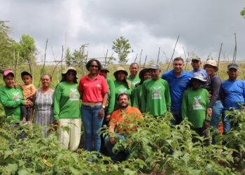Viva Horta transforma alimentação e renda em Mucugê, na Bahia