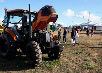 Produção cresce com força das feiras agropecuárias na Bahia