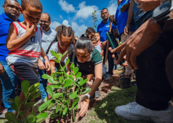 Plano prevê plantio de mil mudas de Mata Atlântica em Lauro
