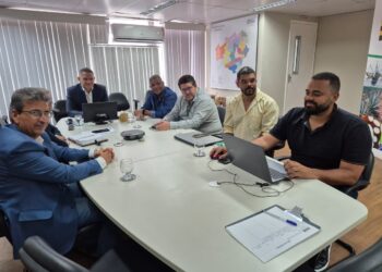 Bahia lidera produção de sisal e define novas estratégias para o setor