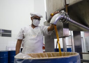 Mel da agricultura familiar reforça merenda no Semiárido Baiano