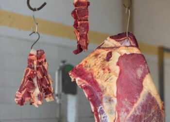 Governo da Bahia e Nova Soure firmam parceria por obras rurais