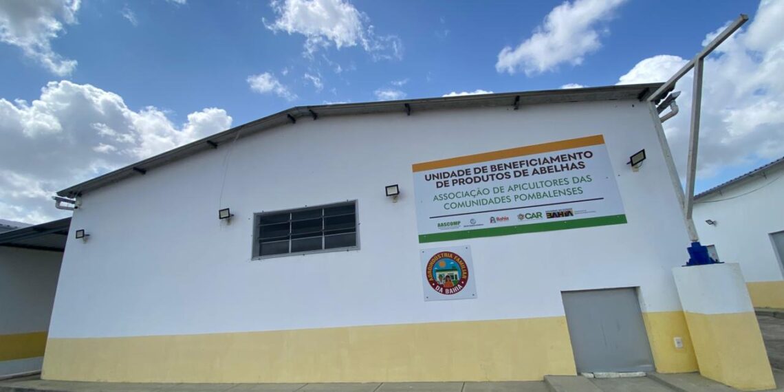 Agroindústria impulsiona apicultura e renda no Semiárido baiano