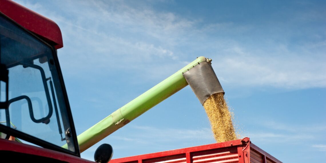 Bahia tem 7 cidades entre 50 maiores produtoras agrícolas do país