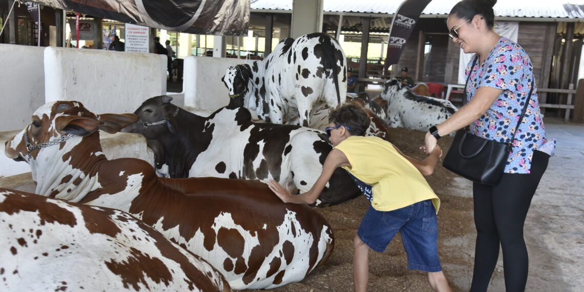 Fenagro 2025: o maior encontro do agronegócio e da cultura nordestina
