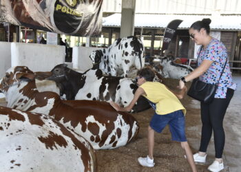 Fenagro 2025: o maior encontro do agronegócio e da cultura nordestina
