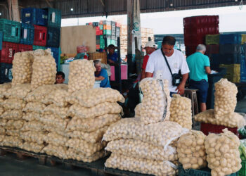 Proclamação da República: Ceasa abre e mercados fecham mais cedo