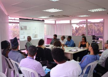 Câmara do Dendê cria plano para recuperar e ampliar produção baiana