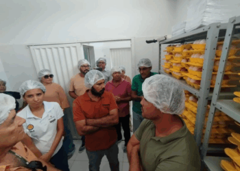 Municípios do Sertão do São Francisco alinham ações para ampliar a produção de ovos