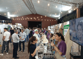 Esmeralda de Carnaíba avança para ser 1ª IG da Bahia, diz CGB