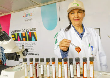 Seagri leva concurso de qualidade do mel para a Fenagro 2025