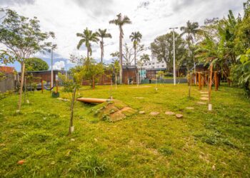 Parque da Mata Atlântica recebe 5 mil visitantes no 1º mês