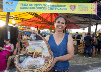 Feira da Agricultura Familiar bate recorde de vendas, movimenta R$ 18 milhões e fortalece geração de renda