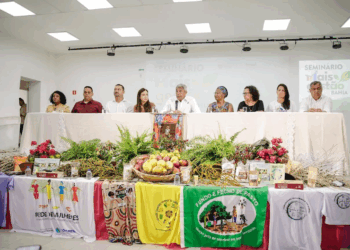 Organizações produtivas da Agricultura Familiar receberão assessoria técnica para fornecer gêneros alimentícios para a rede estadual de ensino