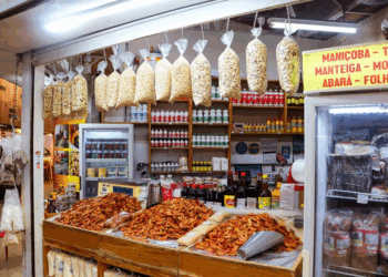 Feriado de Nossa Senhora da Conceição: confira o funcionamento dos equipamentos administrados pela SDE