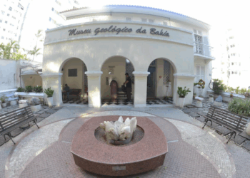 MGB destaca a atuação dos museólogos em 4 programas que popularizam as geociências