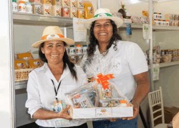 Mulheres que transformam a agricultura familiar da Bahia em modelo de inovação social