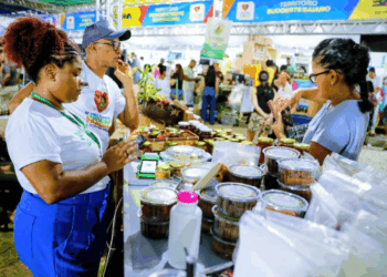 Feira Baiana reúne diversidade de orgânicos e movimenta o Parque Costa Azul