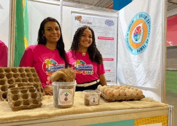Sustentabilidade inspira protagonismo juvenil no Encontro Estudantil da Rede Estadual