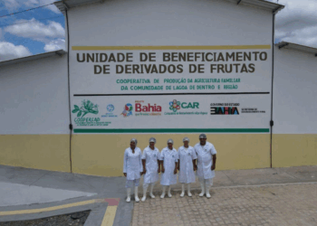 Agroindústrias familiares irão dinamizar a produção de frutas e licuri de agricultores familiares de Tucano