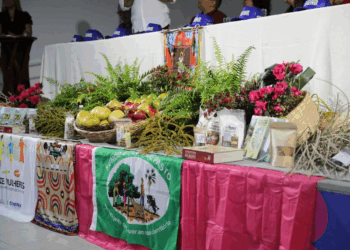 Seminário lança Projeto Mais Gestão Bahia para agricultura familiar