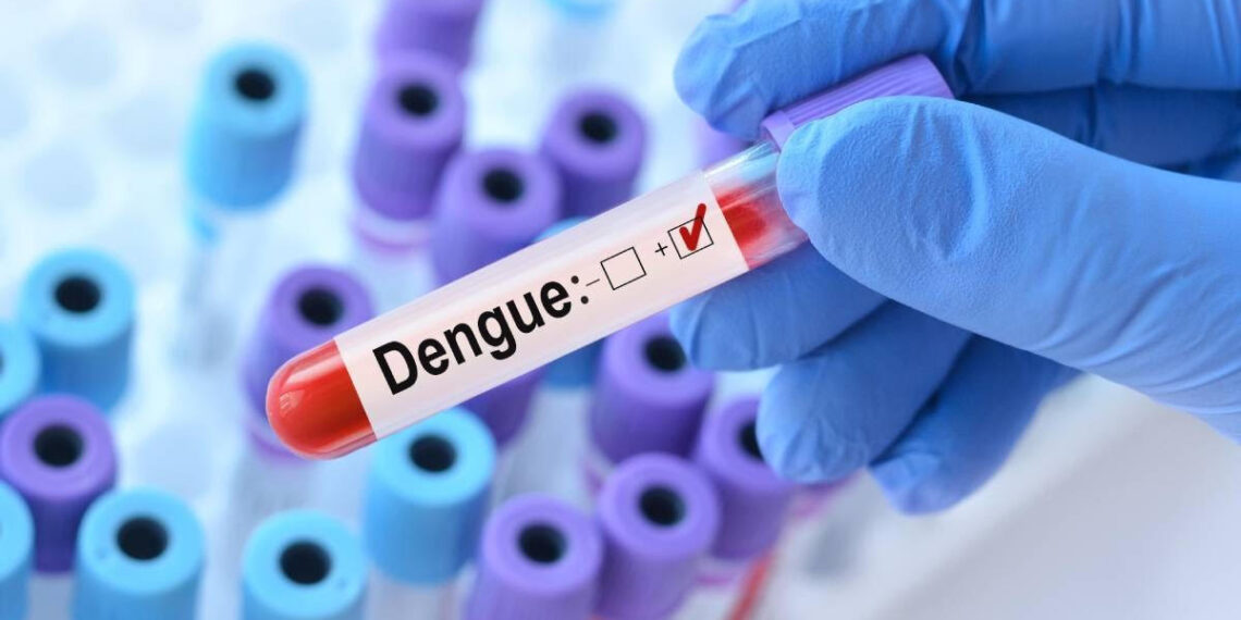 Chegada do verão exige cuidados redobrados com o mosquito responsável pela dengue, zika e chikungunya
