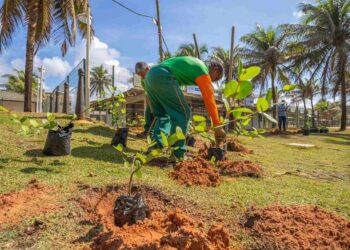 Salvador alcança nota A em lista de cidades do CDP 2025 por transparência climática e gestão ambiental