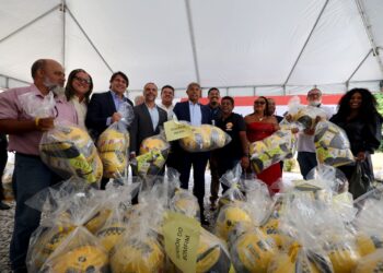 Estado entrega mais de 200 certificados, kits de proteção e bags para mototaxistas e motofretistas da Bahia