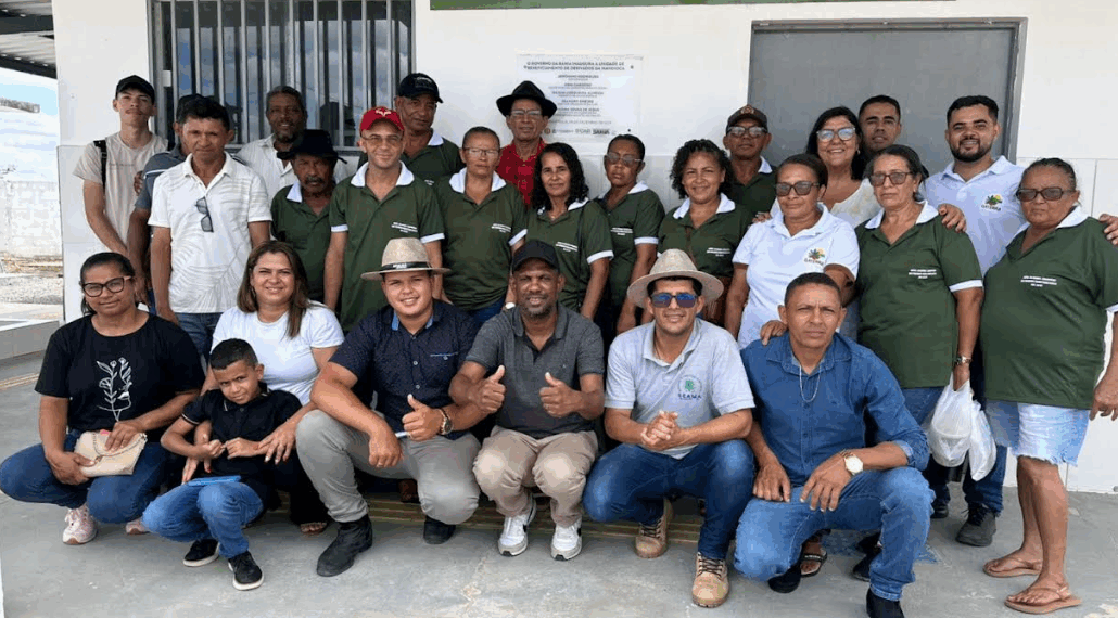 Intercâmbio qualifica produção de mandioca na agricultura familiar