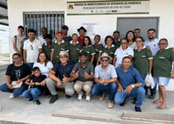 Intercâmbio qualifica produção de mandioca na agricultura familiar